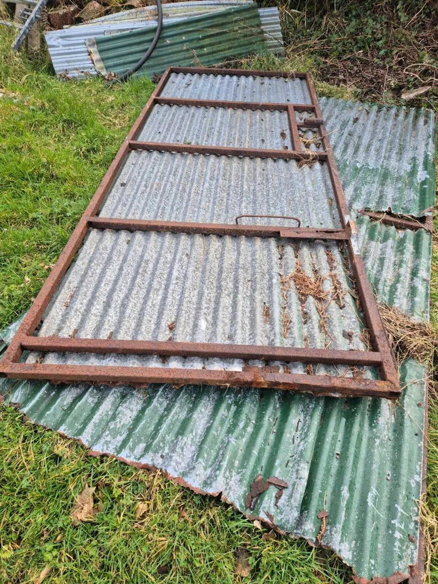 Galvanised Gates/Door - Image 1