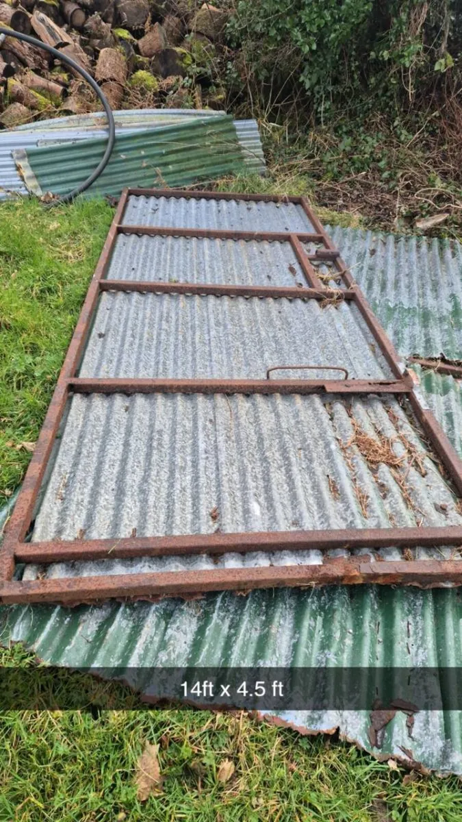 Galvanised Gates/Door - Image 2