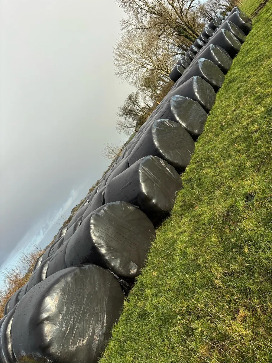 Silage for sale - Image 2