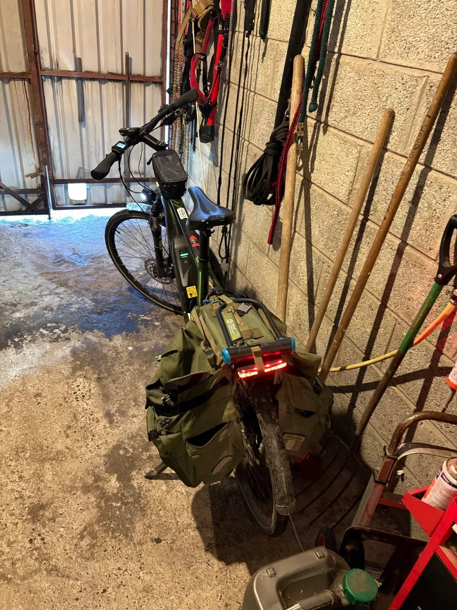 Electric Bike - Image 3