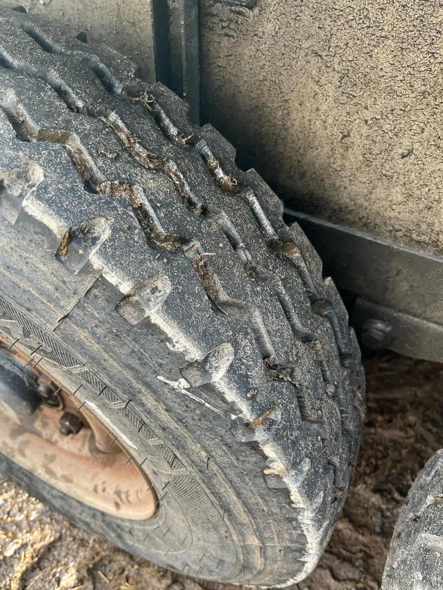 Cattle trailer - Image 4