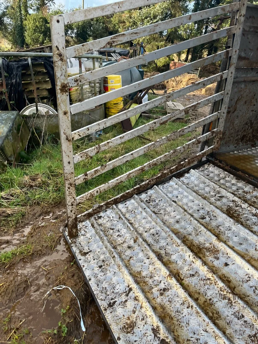 Cattle trailer - Image 2