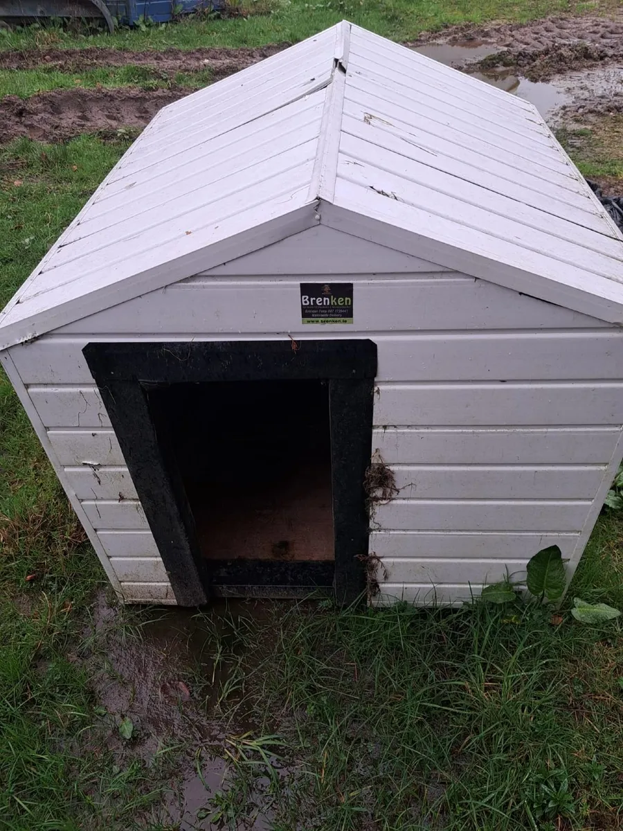 Chicken or dog run - Image 1