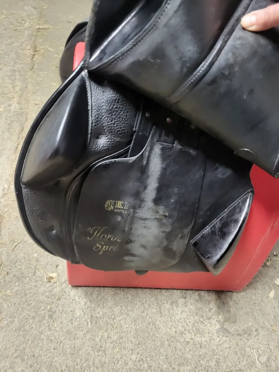 Jumping saddle - Image 2