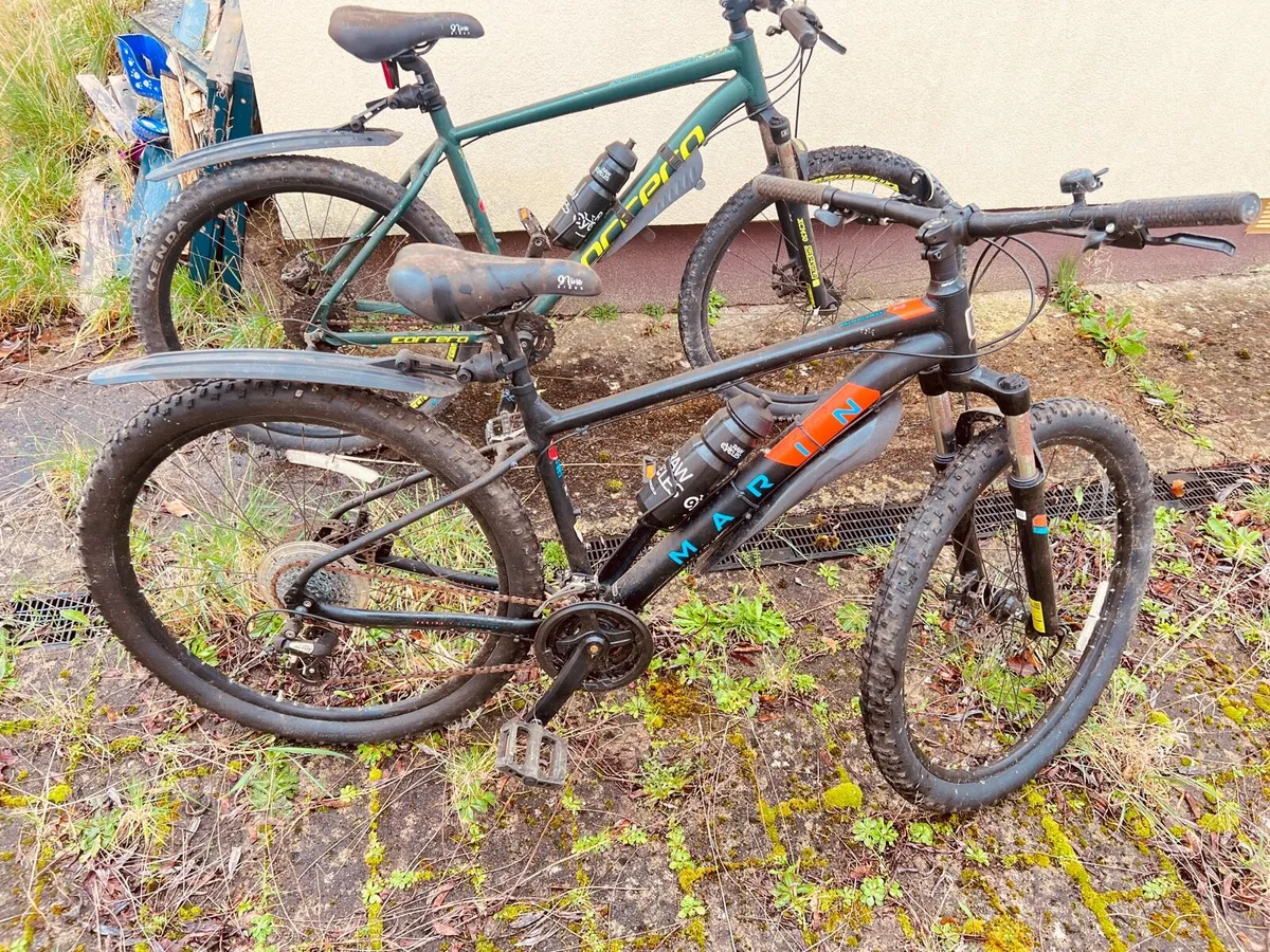 Mountain Bike - Image 1