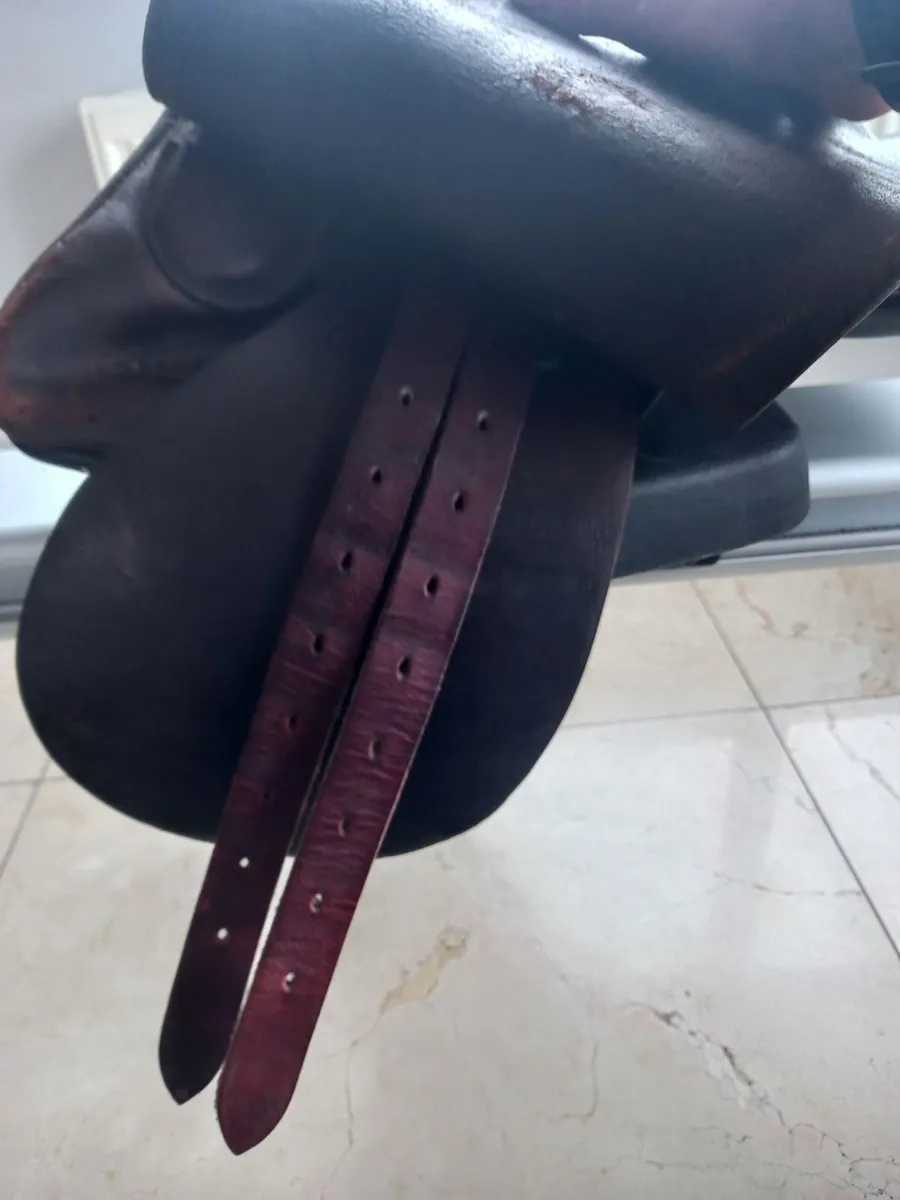Barnsby 15" pony club saddle - Image 3
