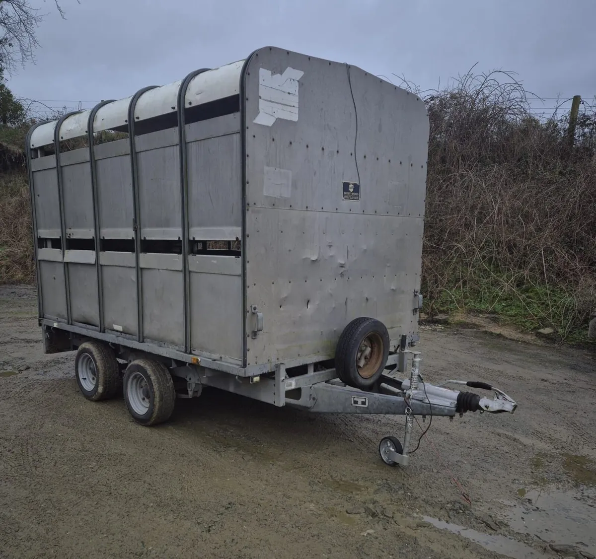 Ifor Williams 10 x 6,6 cattle/sheep trailer - Image 1