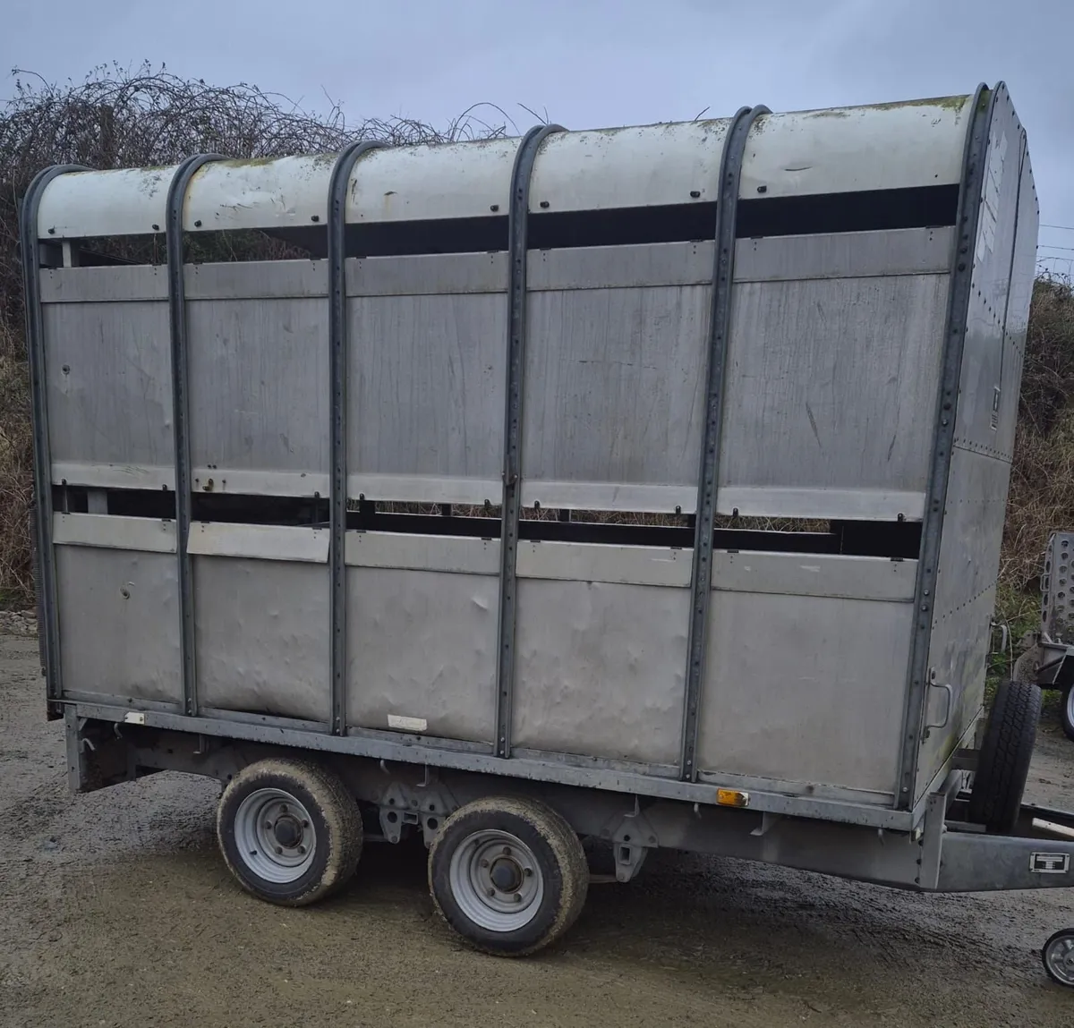 Ifor Williams 10 x 6,6 cattle/sheep trailer - Image 2
