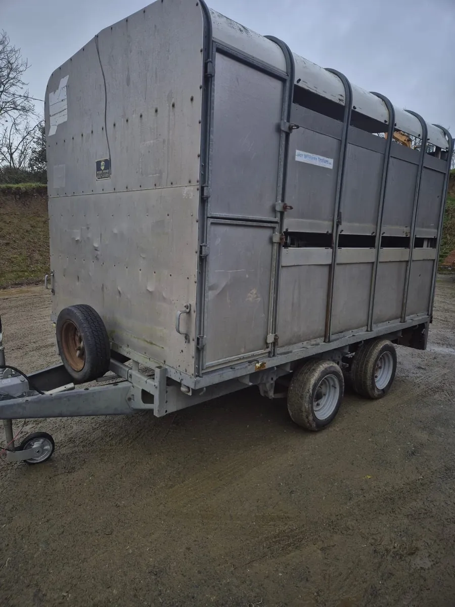 Ifor Williams 10 x 6,6 cattle/sheep trailer - Image 4