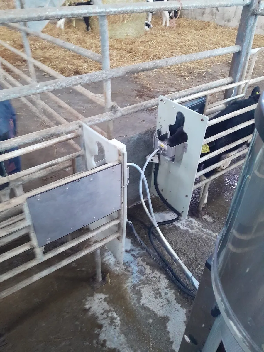 Automatic Lely calf feeder - Image 2