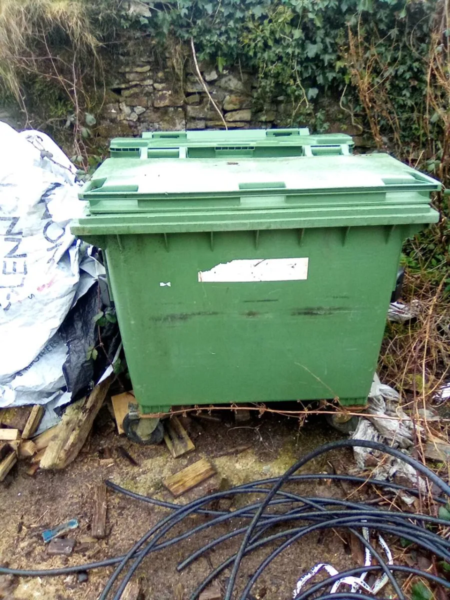 Willie   Bins - Image 2