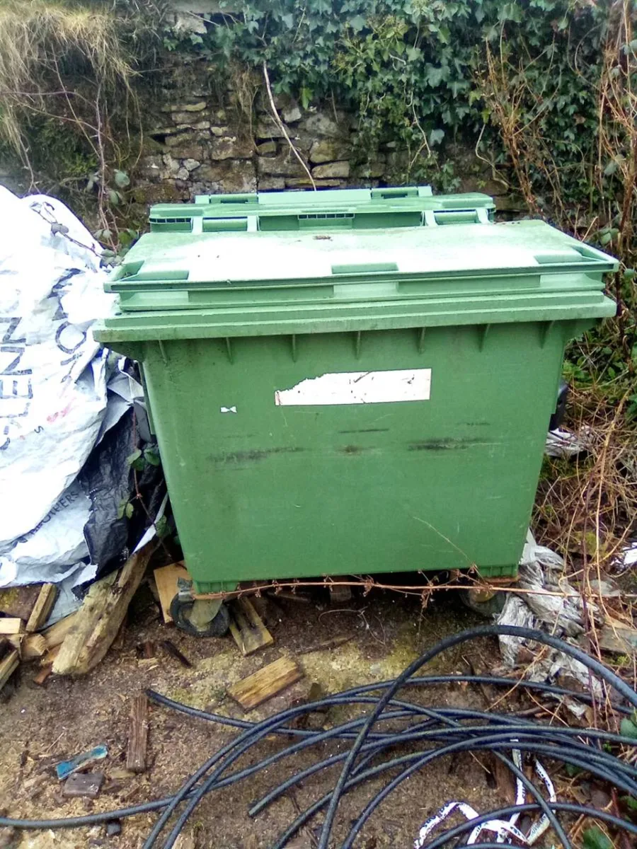 Willie   Bins - Image 3