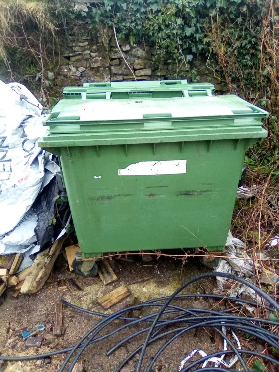 Willie   Bins - Image 4