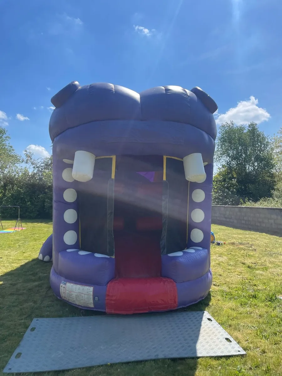 Bouncing castle - Image 4