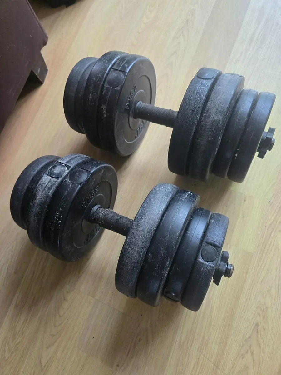 Dumbbells 2×15kg