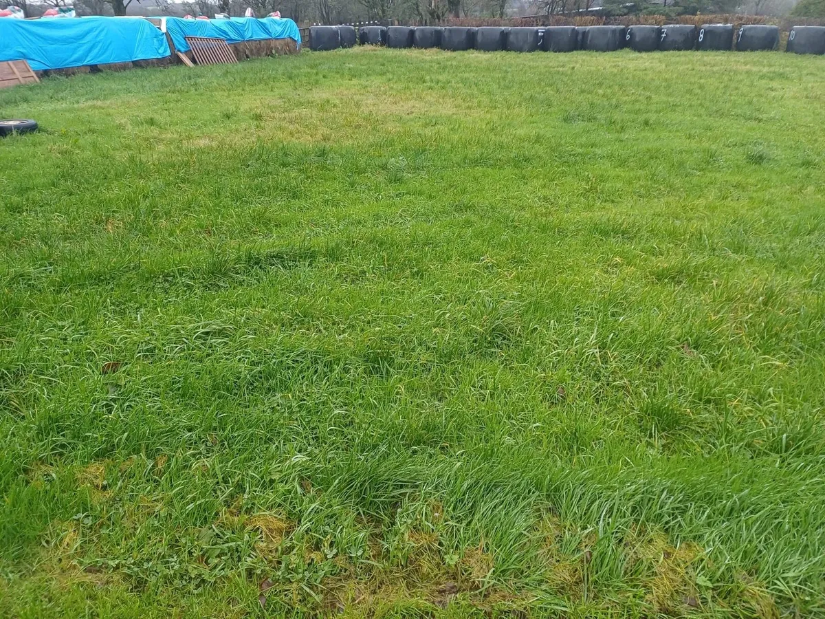 Round bales hay, haylage & silage