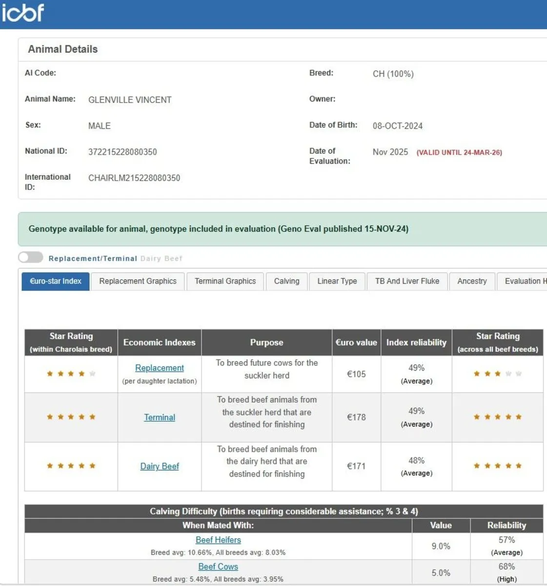 Charolais Bull - Image 2