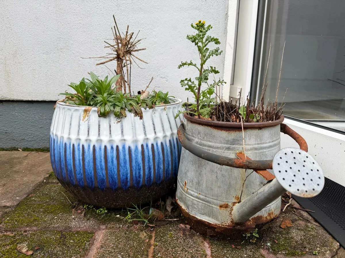 17 Clay and Ceramic Flower Plan Pots - Image 4