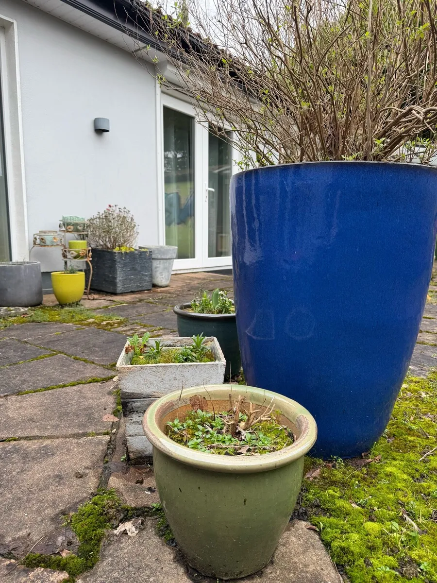 17 Clay and Ceramic Flower Plan Pots - Image 1