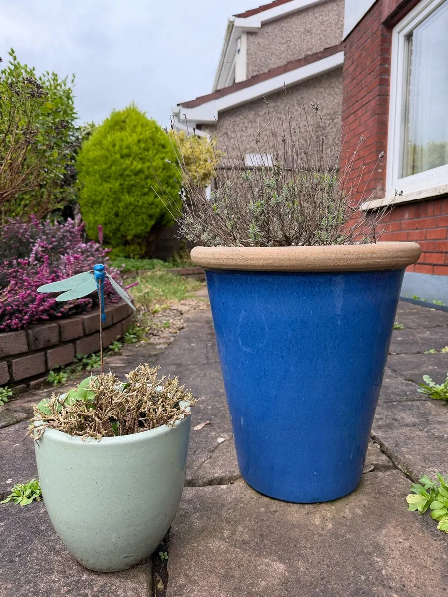 17 Clay and Ceramic Flower Plan Pots - Image 2