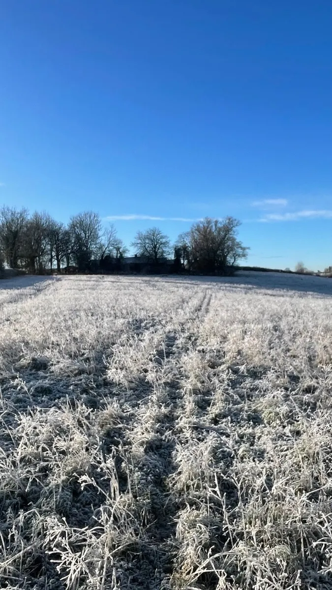 New mulberry bag - Image 4