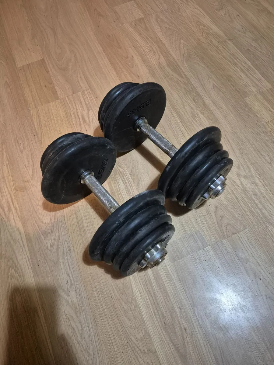Dumbbells 2×12kg - Image 1