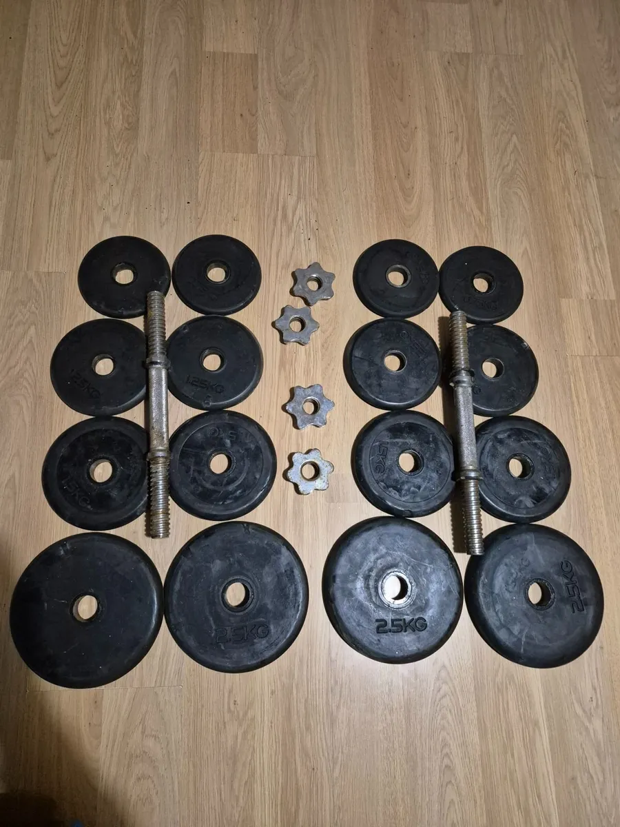 Dumbbells 2×12kg - Image 2