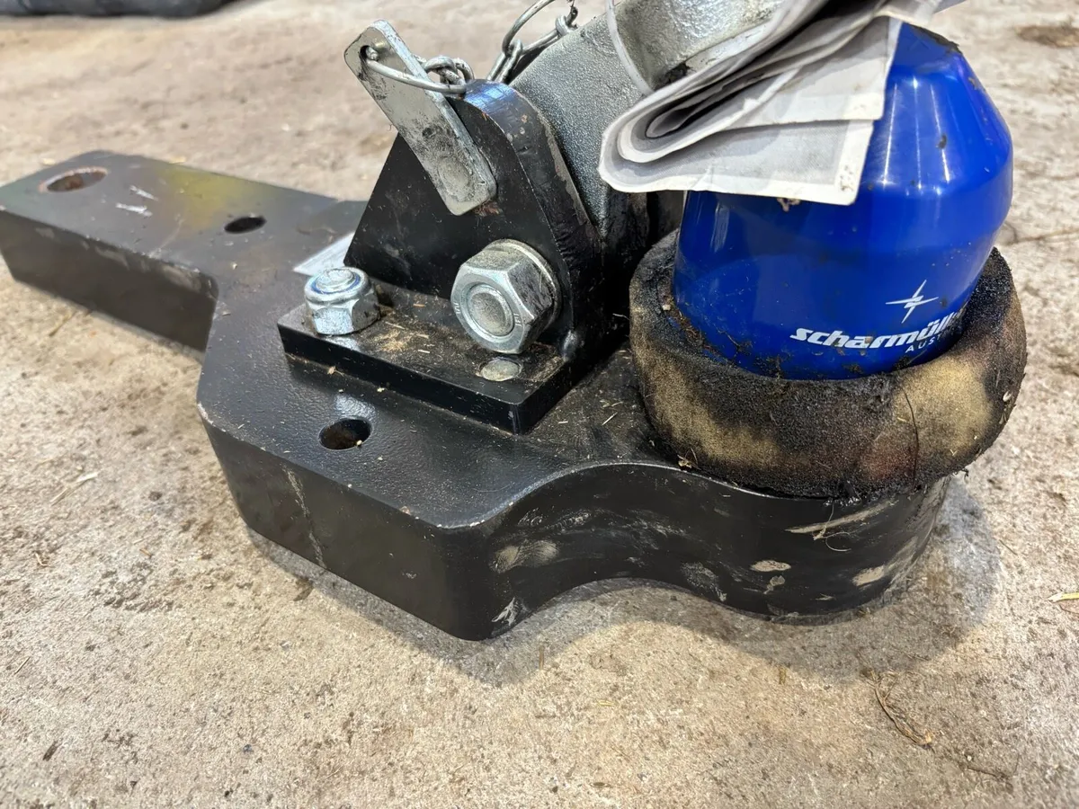 K80 ball scharmuller (90x50) - Image 1