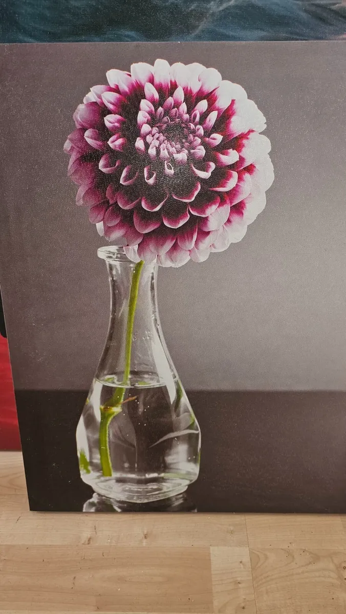 Mixed prints - mixed canvases - ideal for re use - Image 2