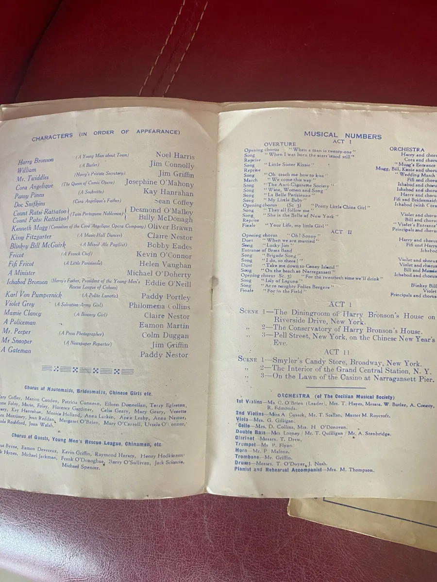 Cecilian Musical Society Limerick Vintage Programm - Image 3