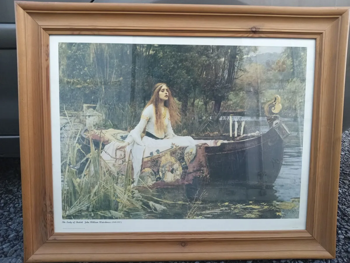 Lady of Shalott picture