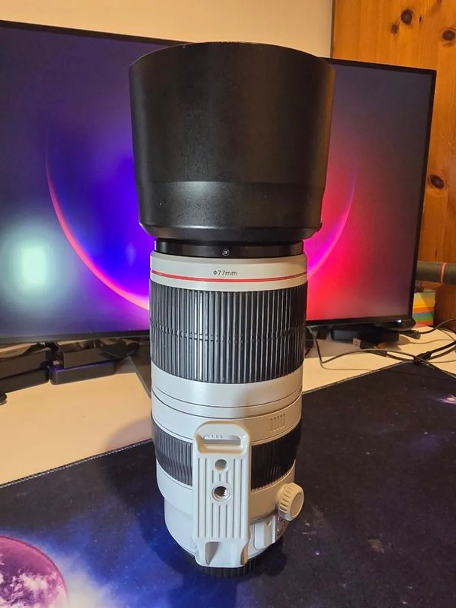 Canon Ef 100-400mm F/4.5-5.6 L Is Ii - Image 4