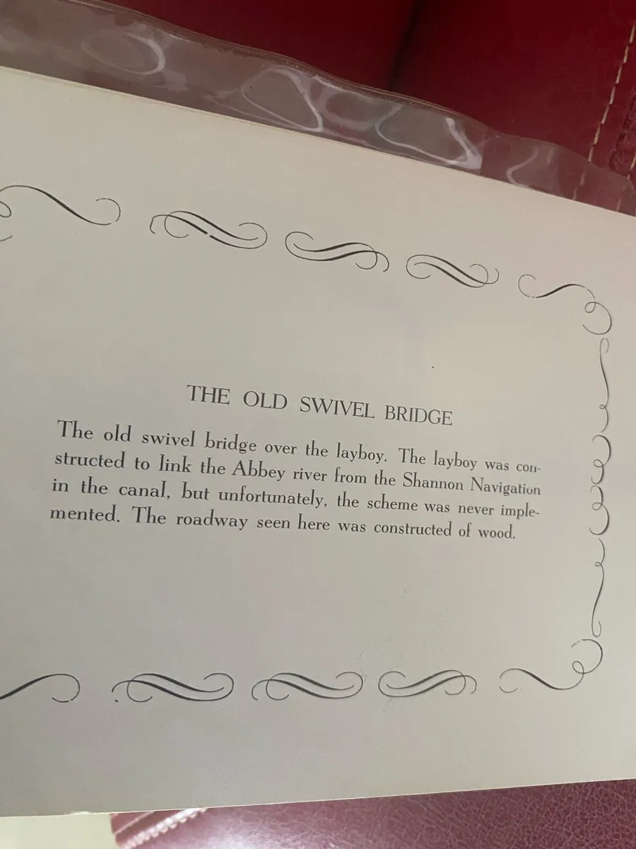 Vintage old Limerick Publication - Image 4