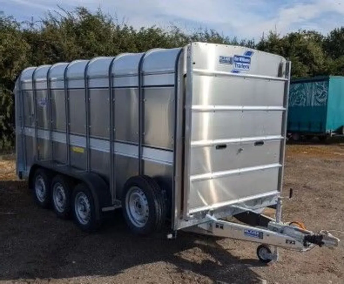 Ifor Williams Livestock Trailer Required
