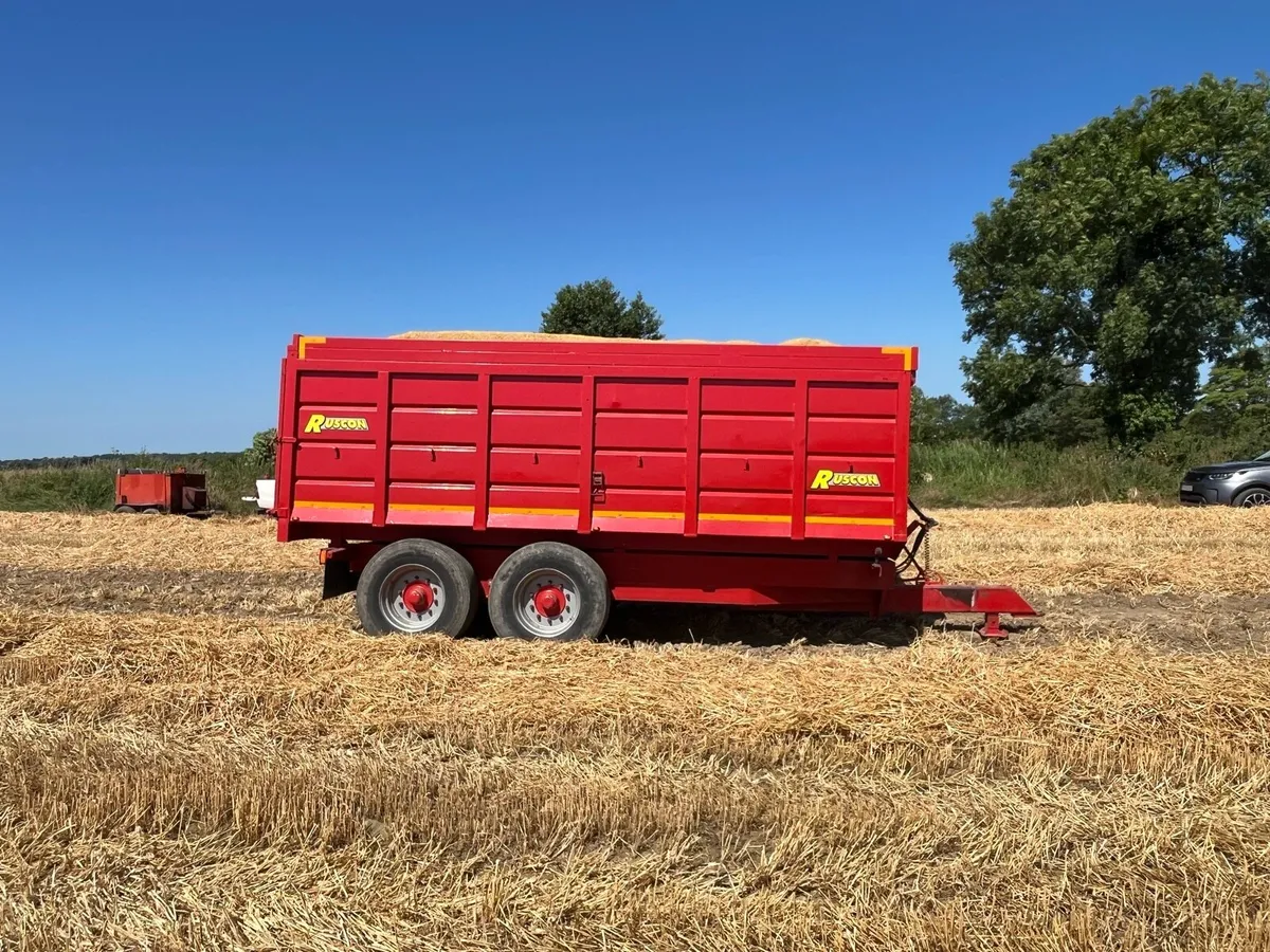 18 Foot Grain Trailer - Image 3