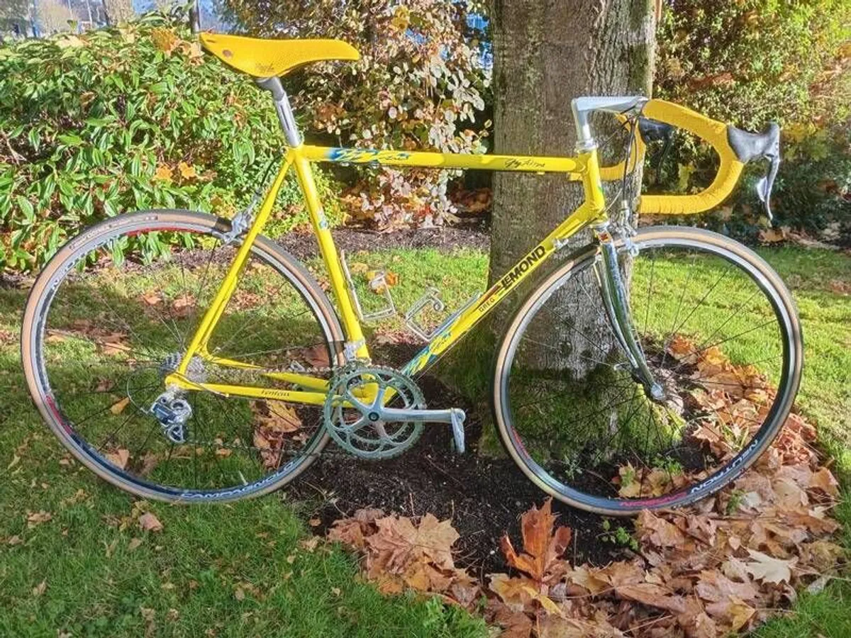 Greg Lemond 55.5cm 10 sp Campy Record - Image 1