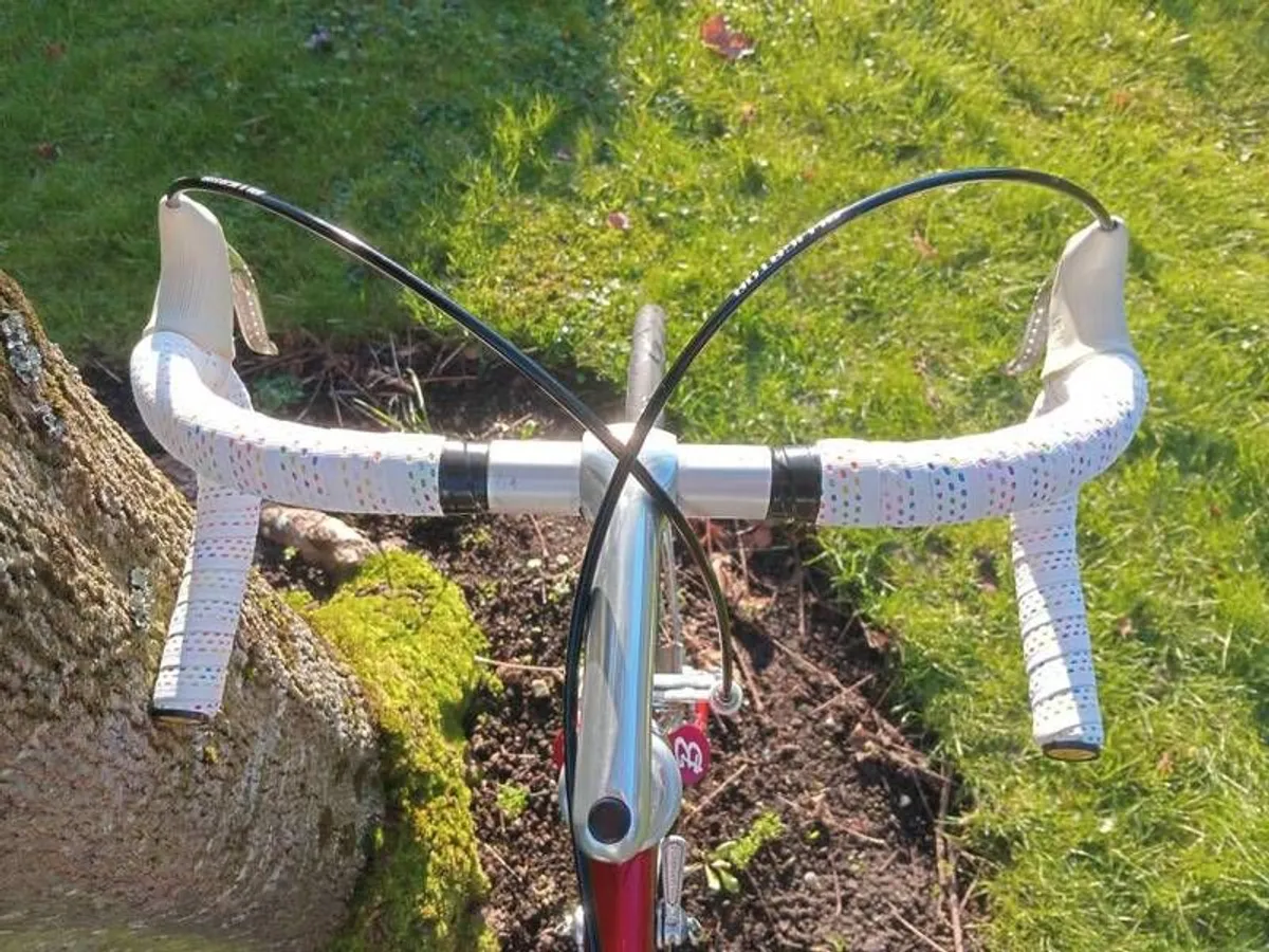 1986 Bottecchia 56cm 7 sp Campy Super Record - Image 2