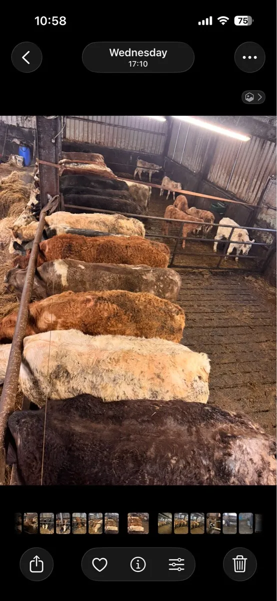 Clearance Sale - Image 2