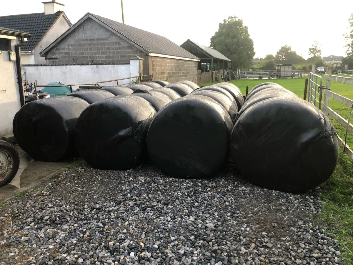 15 Bales of Quality Silage