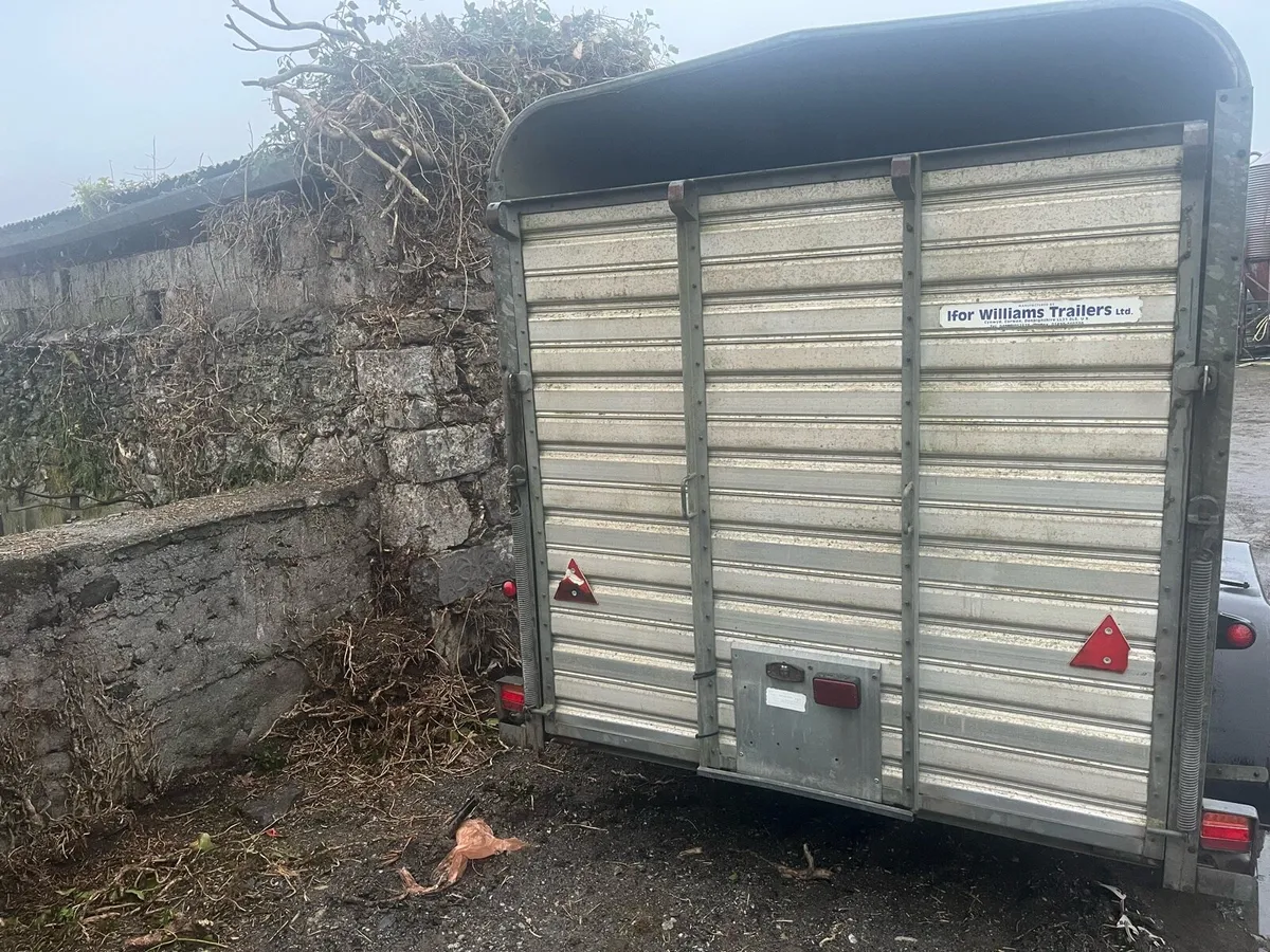 Ifor Williams trailer - Image 3