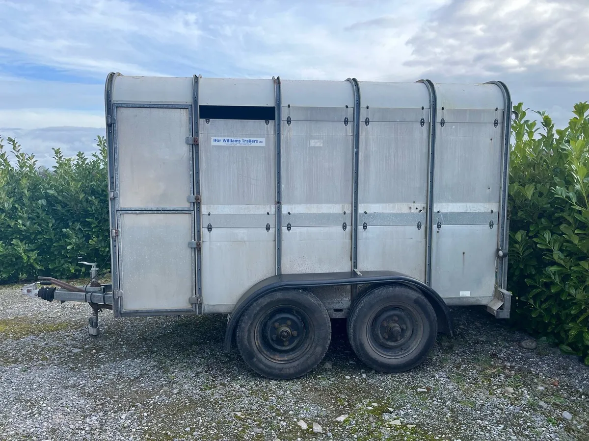 Ifor Williams trailer - Image 1