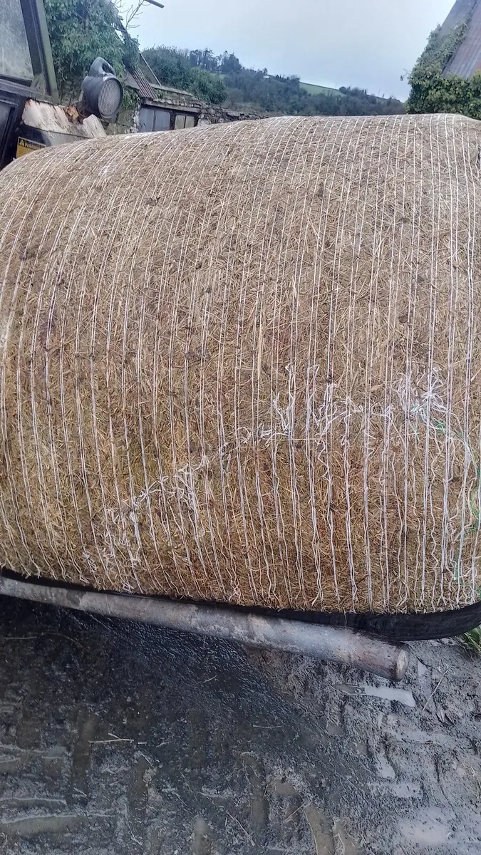 Organic haylage / Silage bales - Image 1