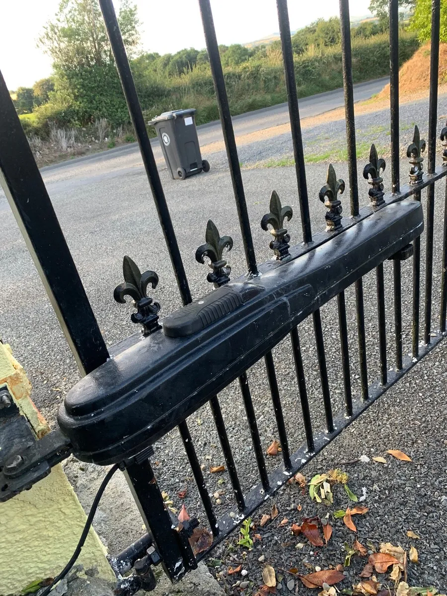 Gate ram Looking for - Image 1