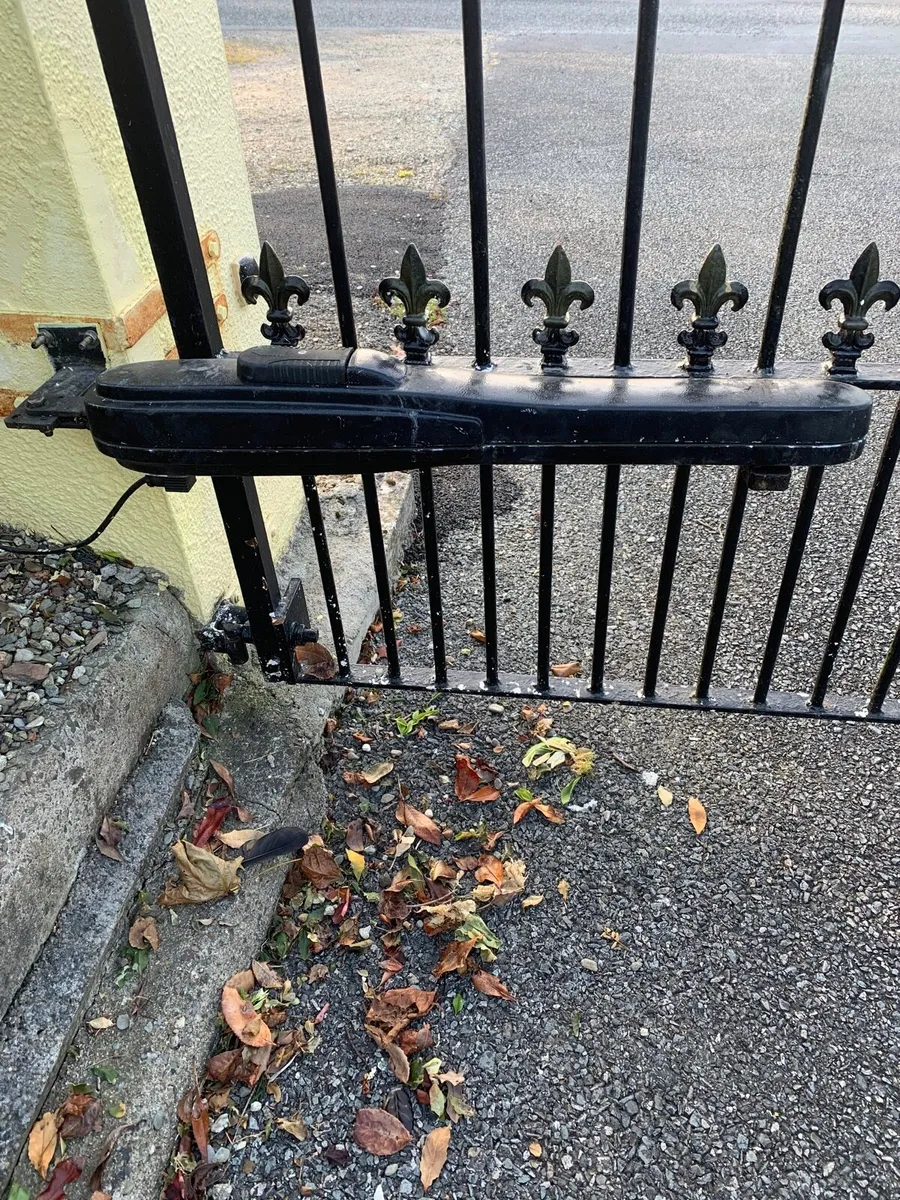 Gate ram Looking for - Image 2