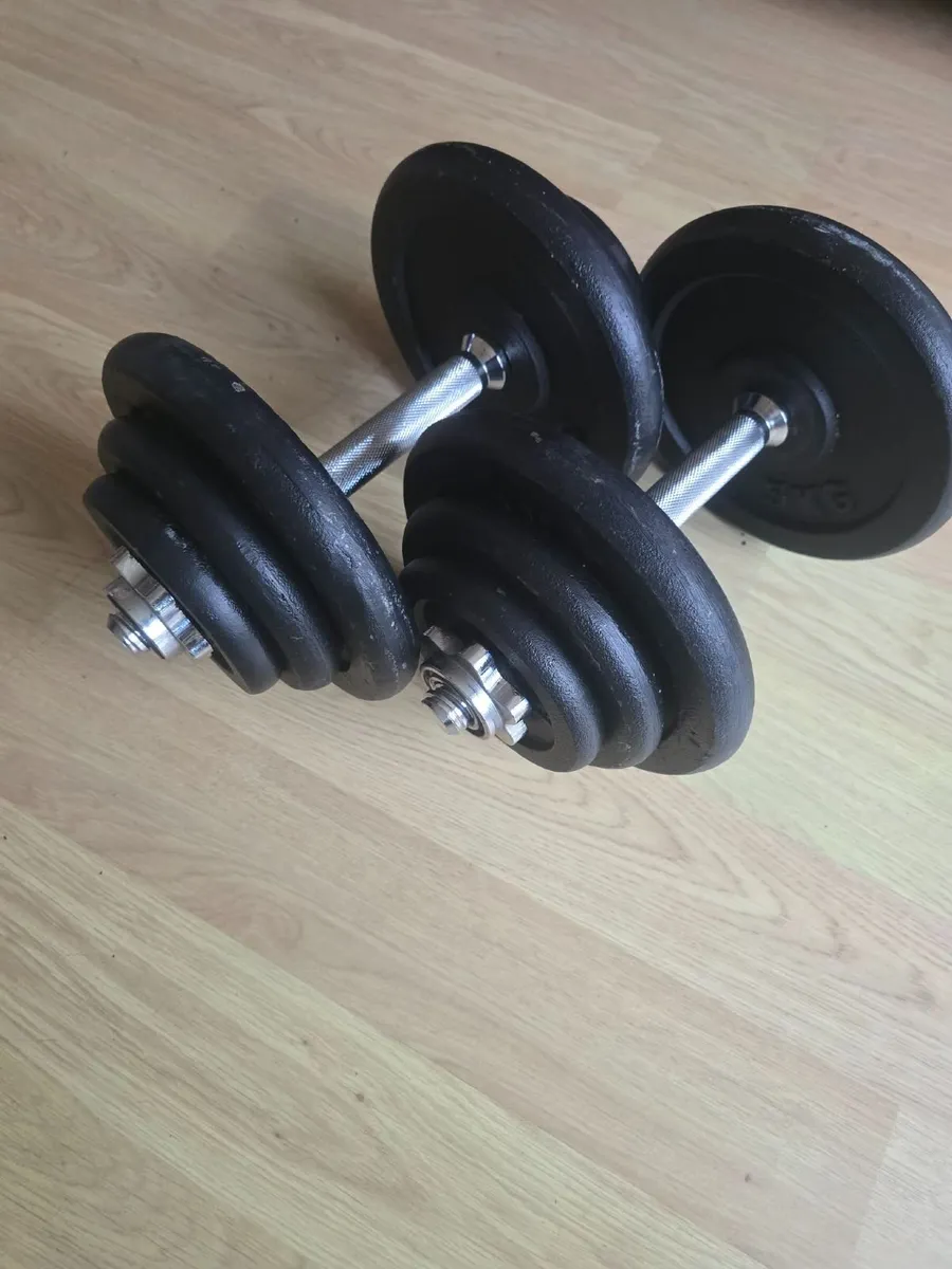 Dumbbells 2×19kg