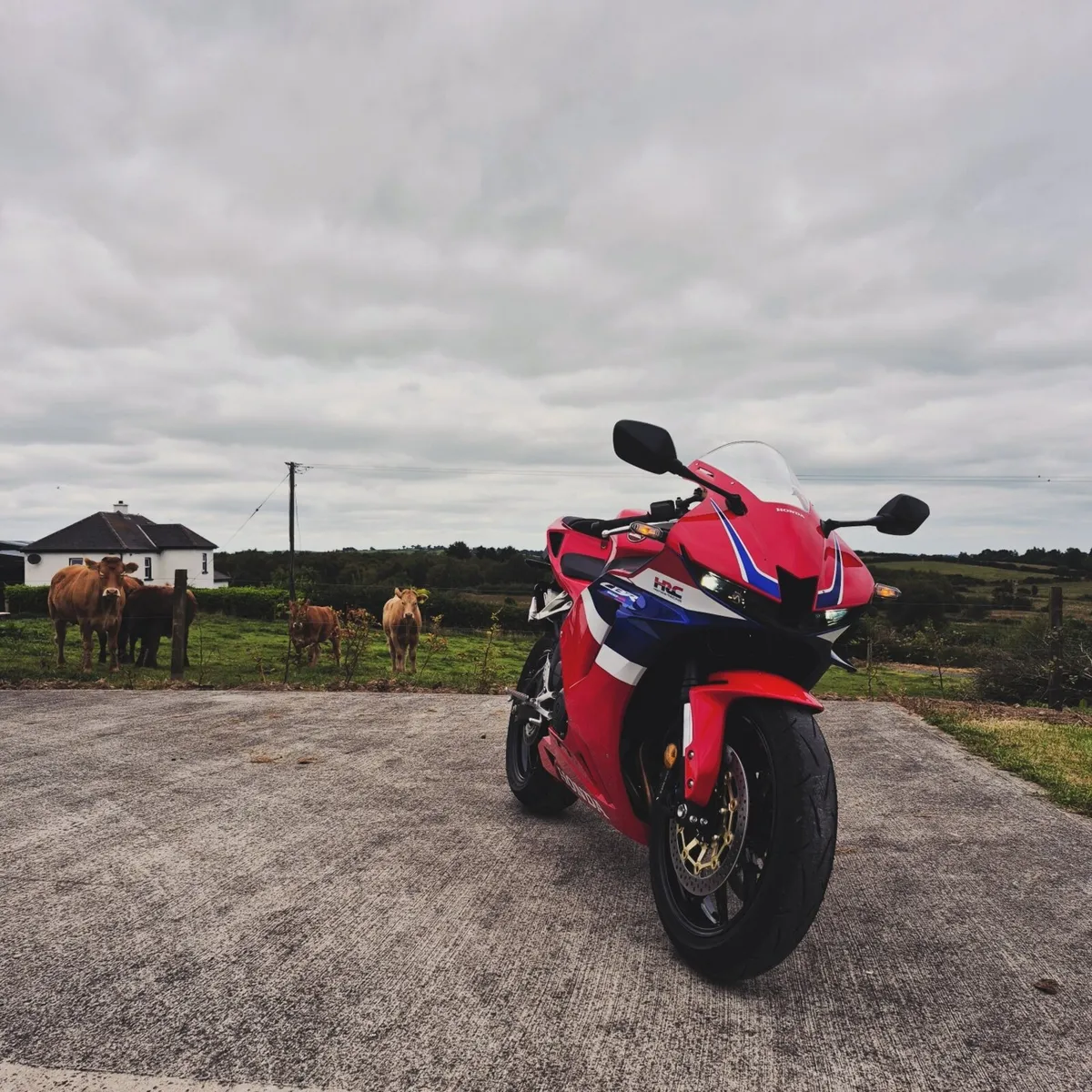 Honda CBR 600RR 2024 LIKE NEW! only 1400 km - Image 4