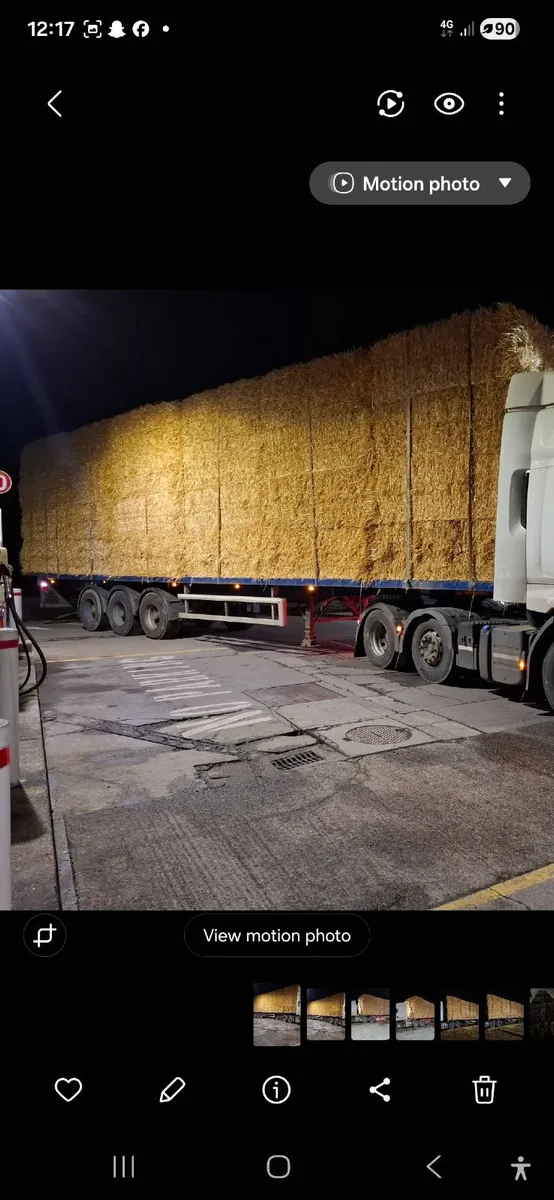 Squares bales of golden barley straw 8x4x3s x Wexf - Image 3