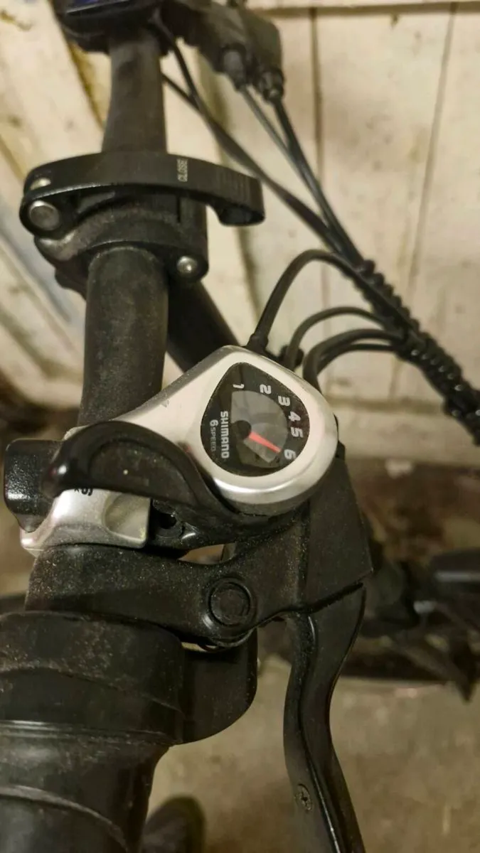 Fiido d4 electric bike - Image 4