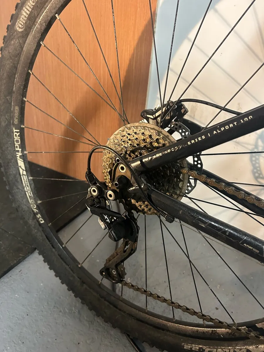 Forme alporte 100 hardtail - Image 4