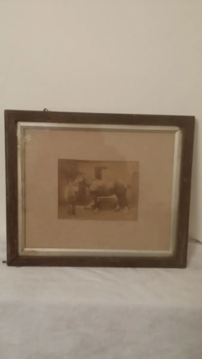 Selection of Old World Pictures - Image 2